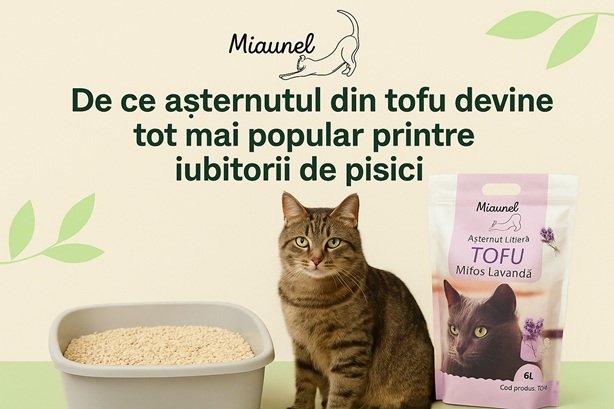 Pisica asezata langa o litiera si o punga de asternut tofu pisici Miaunel