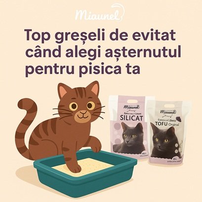 Greseli de evitat cand alegi asternut litiera pisici